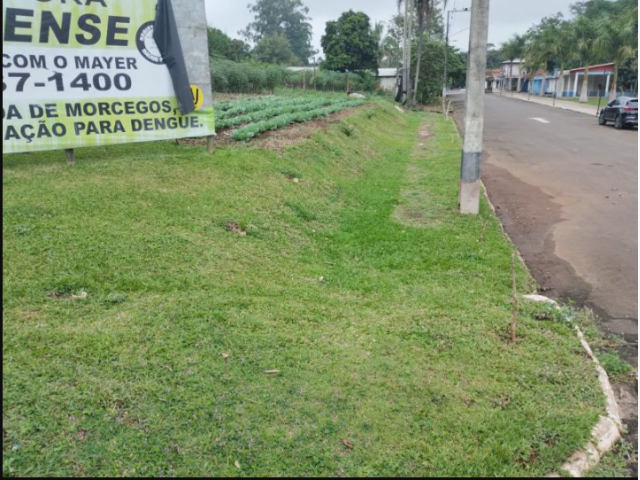 🏠 lote urbano com 495,74 m² no centro de são carlos/sc
