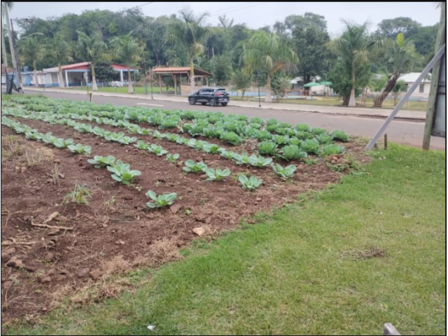 🏞️ lote urbano com 1.000 m² águas de pratas
