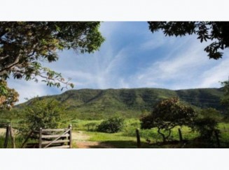 Fazenda Renascer 180 ha - Colônia Leopoldina/AL