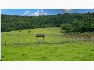 Fazenda A.T. 473,12 ha - Bela Vista da Santíssima Trindade/M