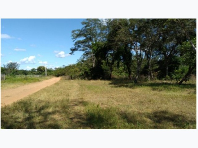 Fazenda 1.876 ha - santa rita de cássia/ba
