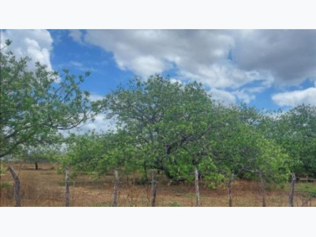 🌿 terreno com 7.814,89 m² em maracanaú/ce
