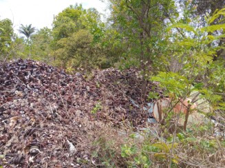 louças diversas, topos de cruzetas e roldanas