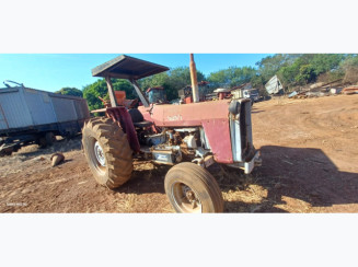 Trator Massey Ferguson MF-290 - 1989 - Nova Olímpia/MT