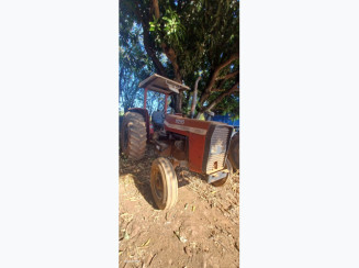 Trator Massey Ferguson MF-290 - 1988 - Nova Olímpia/MT