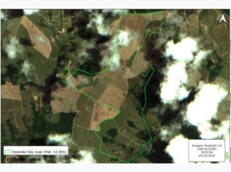 Fazenda em Mamanguape/PB - 16777