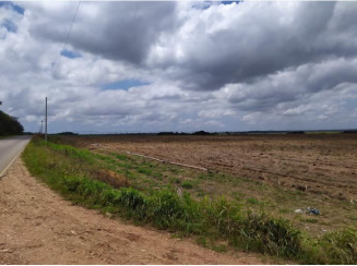 Fazenda em Mamanguape/PB - 16777