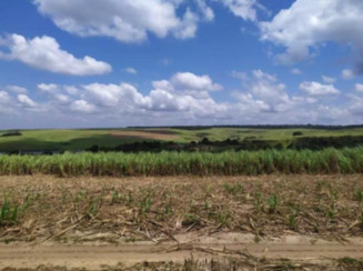 Fazenda em Mamanguape/PB - 16777