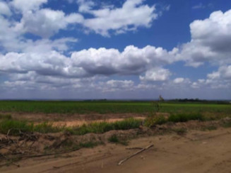 Fazenda em Mamanguape/PB - 16777