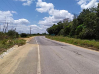 Fazenda em Mamanguape/PB - 16777