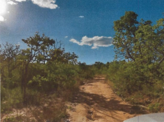 Fazenda em São Romão/MG - 220100000893