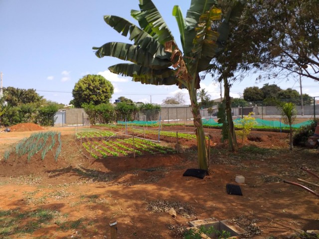 Casa com 4 quartos no Itapoã (foto 43 de 51)