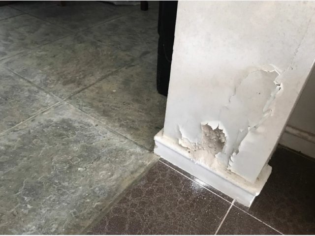 Imóvel, Constituído Pelo Lote N. 07, Rua João Paulo Bonetti, localizado em Curitiba - PR