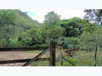 Foto de Fazenda Palmital A.T. 85 ha - Angra dos Reis/RJ