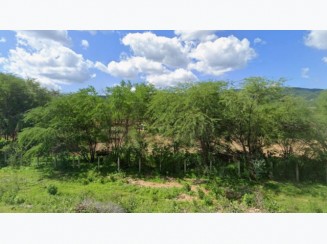 Fazenda A.T. 1.007 ha - Areia De Baraúnas/PB