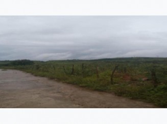 Terreno A.T. 3 ha - Palmares/PE