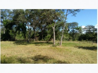 Foto de Terreno - Zona Nova,Tramandaí/RS