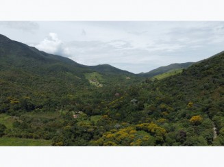 Terreno Rural em Morro Grande — Itamonte/MG | 4,9889 haRe