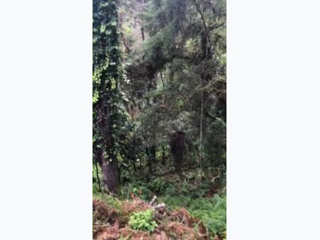 Terreno 3.750m², campos do jordão/sp