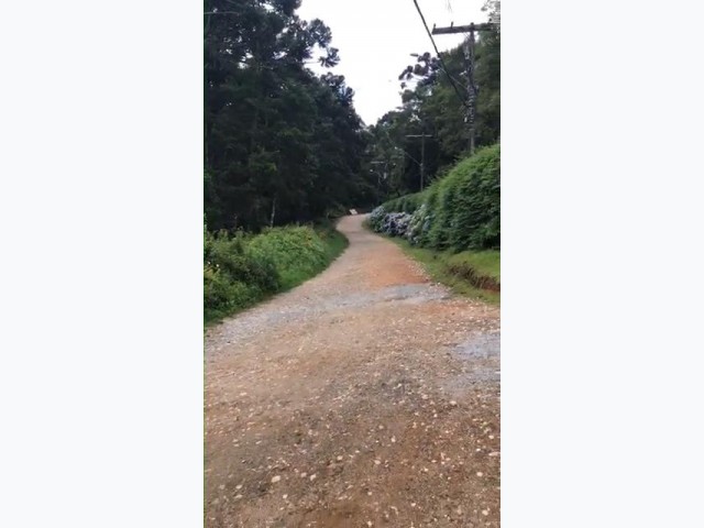 Terreno 3.750m², campos do jordão/sp