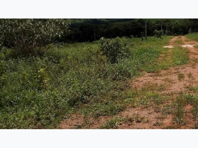 Engenho esperança a.t. 256 ha - água preta/pe