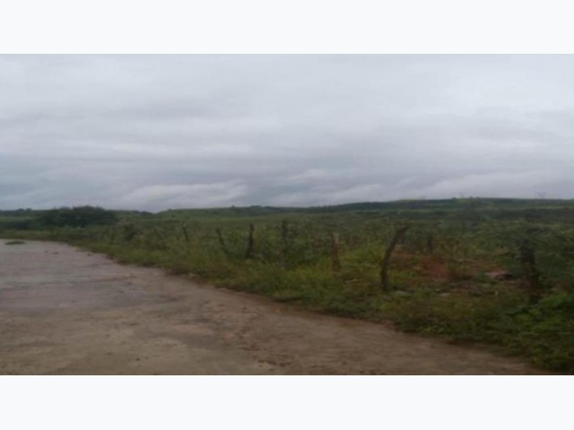 Terreno a.t. 3 ha - palmares/pe