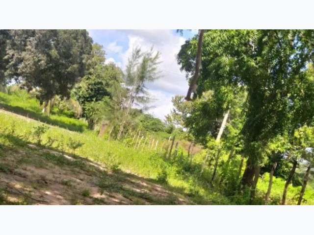 Caucaia, CE