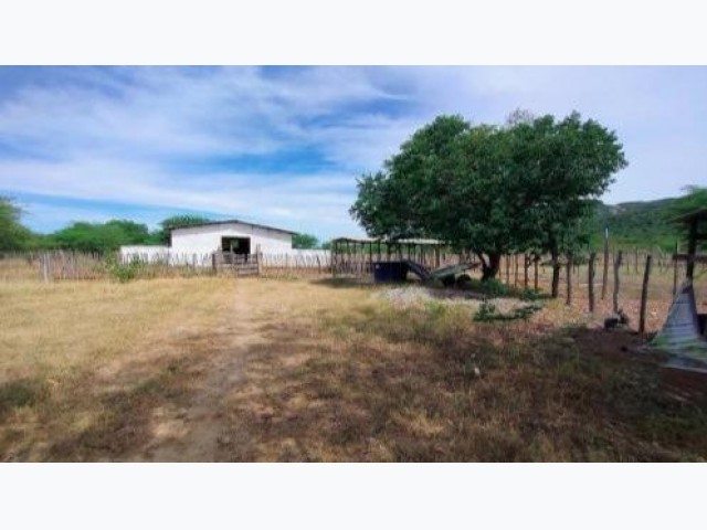 Terreno a.t. 76,37 ha - sertânia/pe