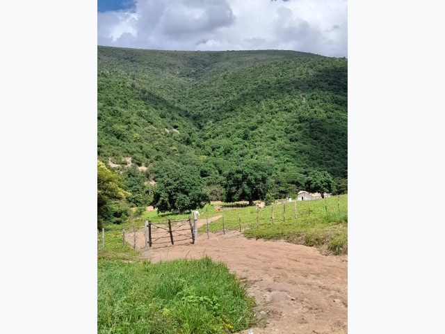 Fazenda 222,65 ha - minas gerais