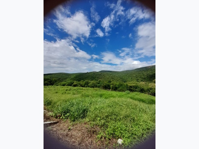 Fazenda