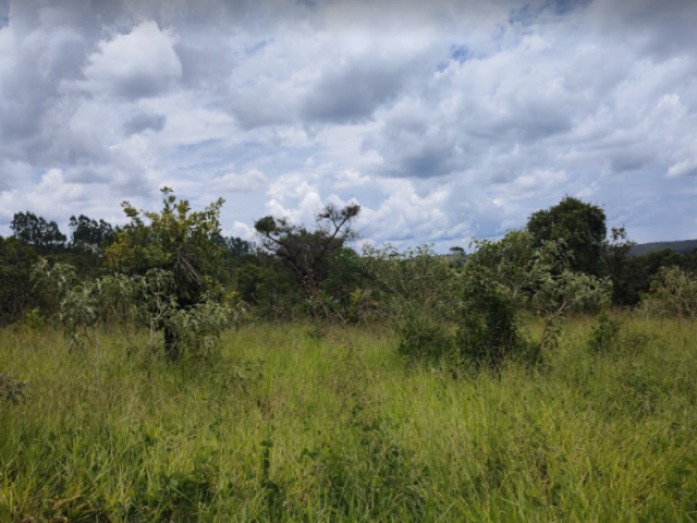 Lote em caetanópolis/mg - 17661