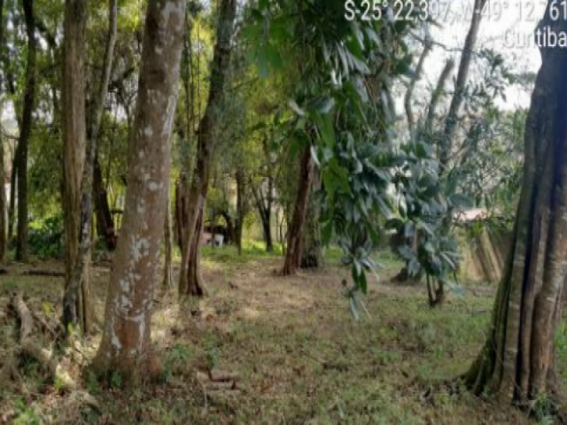 Terreno em curitiba/pr - 750