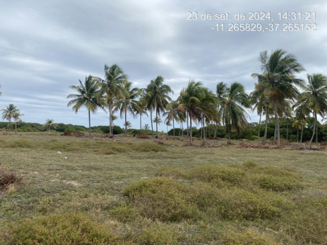 Terreno em itaporanga d'ajuda/se - 12420