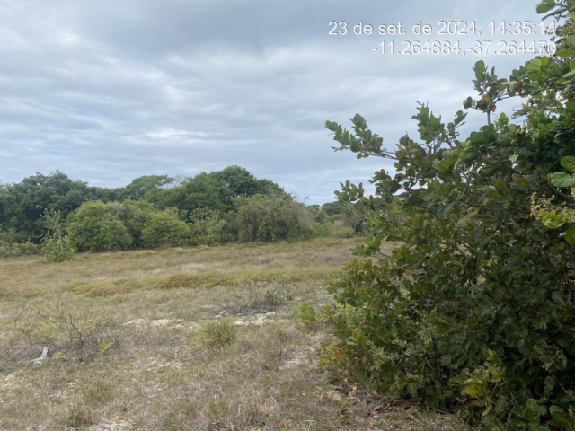 Terreno em itaporanga d'ajuda/se -12424