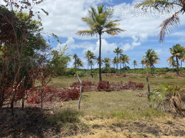 Terreno em itaporanga d'ajuda/se - 13046