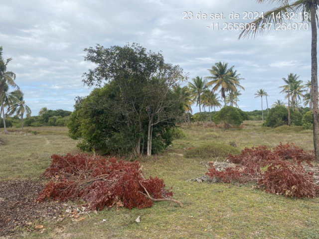 Terreno em itaporanga d'ajuda/se - 13051