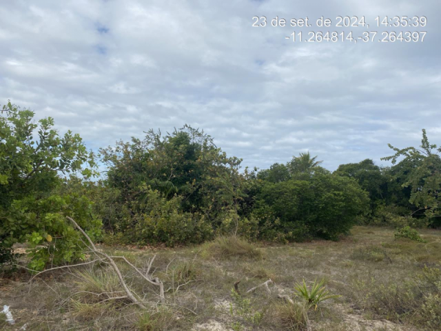 Terreno em itaporanga d1ajuda/se - 13053