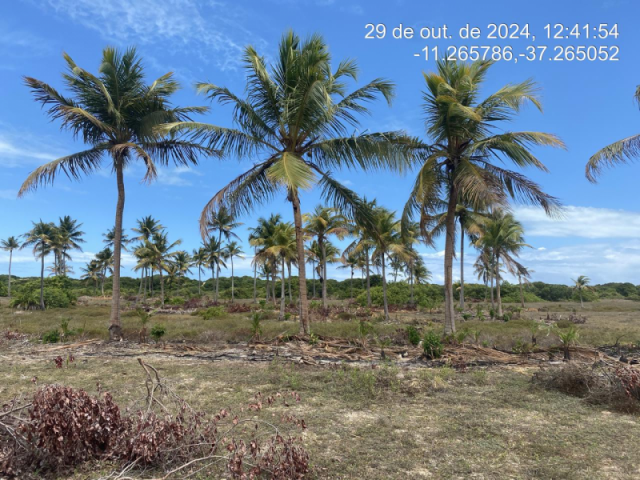 Terreno em itaporanga d'ajuda/se - 12410