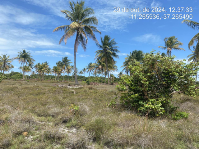 Terreno em itaporanga d'ajuda/se - 12411