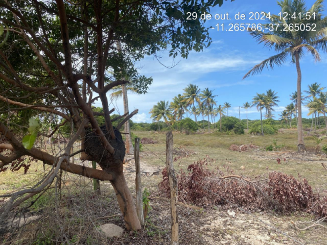 Terreno em itaporanga d'ajuda/se - 12412