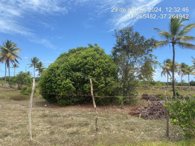 Terreno em itaporanga d'ajuda/se - 12414
