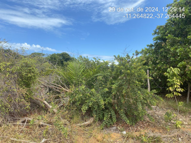 Terreno em itaporanga d'ajuda/se - 12416