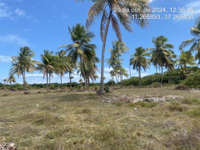Terreno em itaporanga d1ajuda/se - 12417