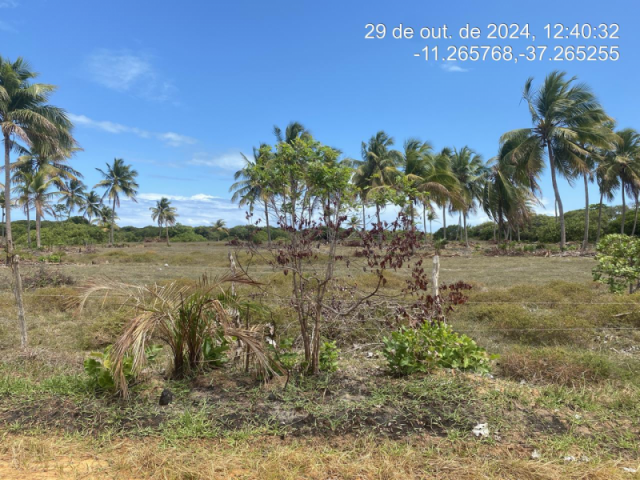 Terreno em itaporanga d'ajuda/se - 12465