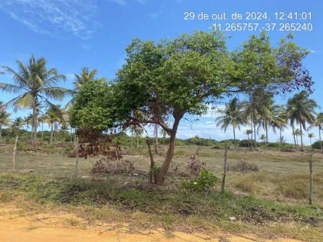Terreno em itaporanga d'ajuda/se - 12466