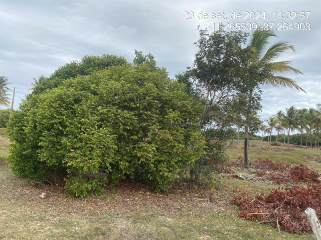 Terreno em itaporanga d'ajuda/se - 13074