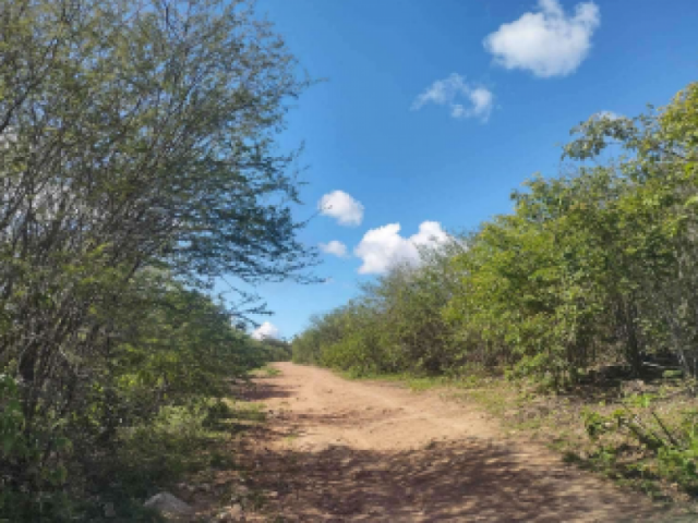 Terreno a.t. 2121.60m², em taquaritinga do norte/pe