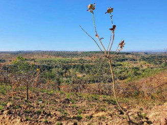 Fazenda em Jaboticatubas/MG - 16926