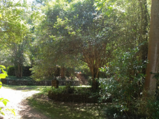 Sítio A.T. 11,24 ha - Fazendinha, Piedade/SP — foto 18 de 35