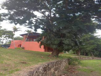 Sítio A.T. 11,24 ha - Fazendinha, Piedade/SP — foto 24 de 35